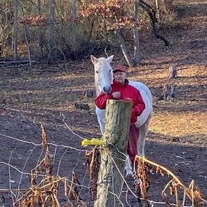 Meet your Posher, Bud